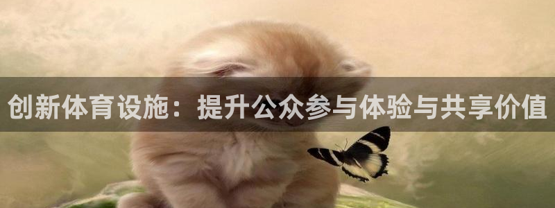 意昂体育4平台是正规平台吗：创新体育设施：提升公众参