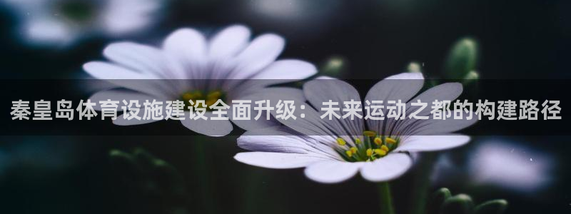 意昂4娱乐网站：秦皇岛体育设施建设全面升级：未来运动