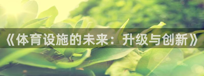 意昂体育4软件：《体育设施的未来：升级与创新》