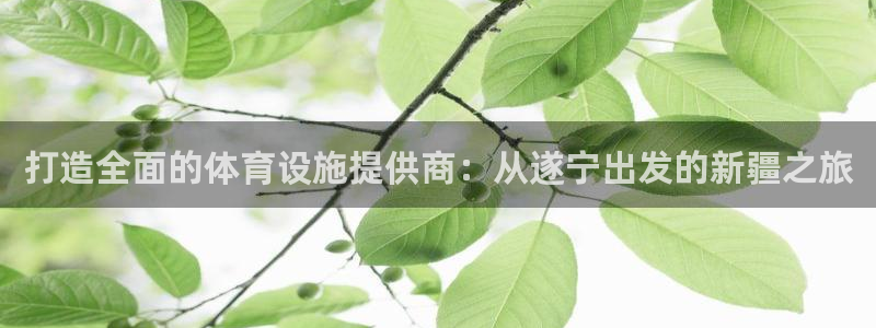 意昂体育4招商电话地址：打造全面的体育设施提供商：从