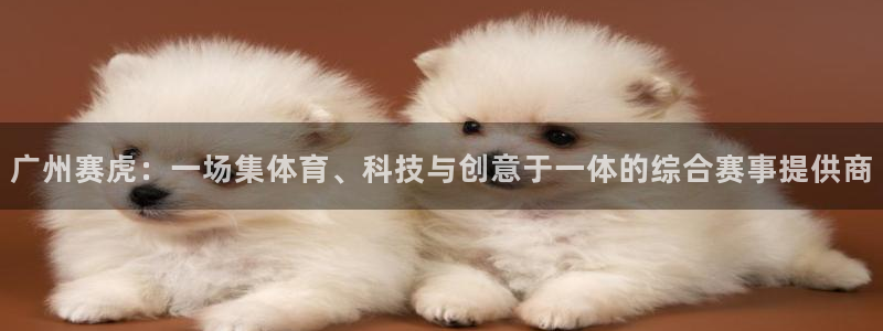 意昂体育4招商电话是多少：广州赛虎：一场集体育、科技与创意于
