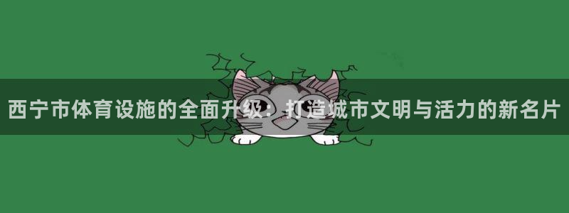 意昂4科技：西宁市体育设施的全面升级：打造城市文明与