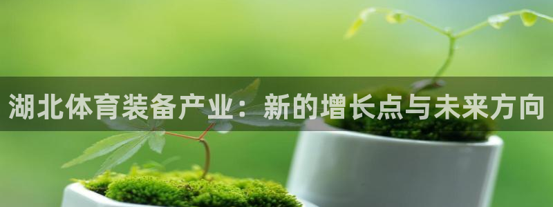 意昂体育4平台是正规平台吗安全吗：湖北体育装备产业：