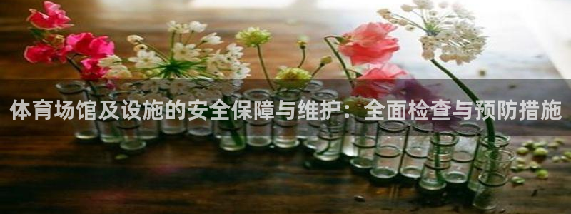 意昂体育4招商电话地址：体育场馆及设施的安全保障与维