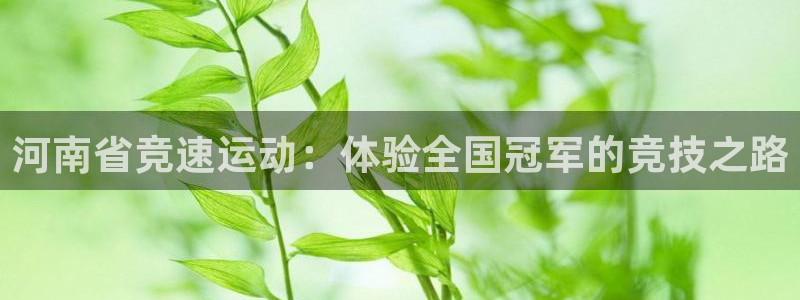 意昂集团官网：河南省竞速运动：体验全国冠军的竞技之路
