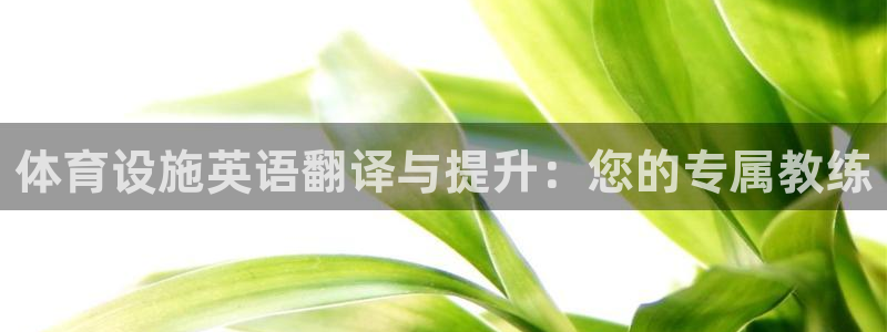 意昂4娱乐下载：体育设施英语翻译与提升：您的专属教练