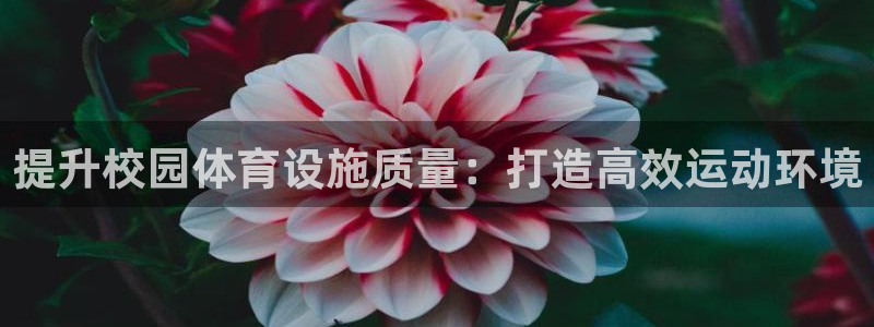 德国意昂4集团：提升校园体育设施质量：打造高效运动环