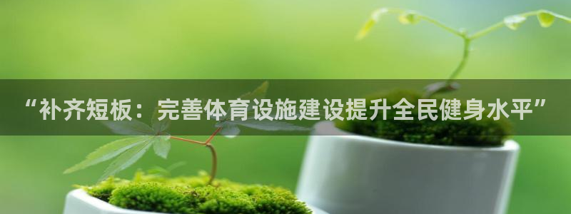 德国意昂4集团：“补齐短板：完善体育设施建设提升全民