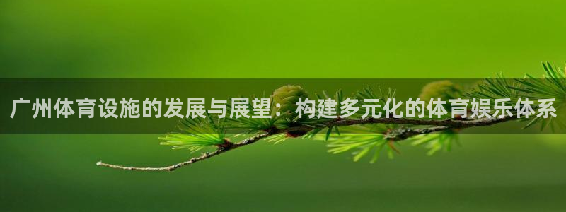 意昂4娱乐平台：广州体育设施的发展与展望：构建多元化