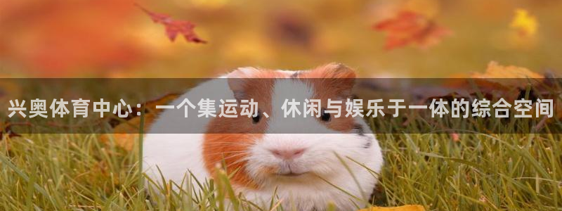 意昂体育4平台注册流程视频：兴奥体育中心：一个集运动