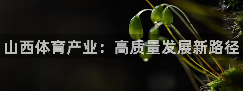 意昂4娱乐40996：山西体育产业：高质量发展新路径