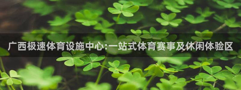 意昂体育4：广西极速体育设施中心:一站式体育赛事及休