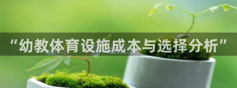 意昂4娱乐是那个系列的台子：“幼教体育设施成本与选择