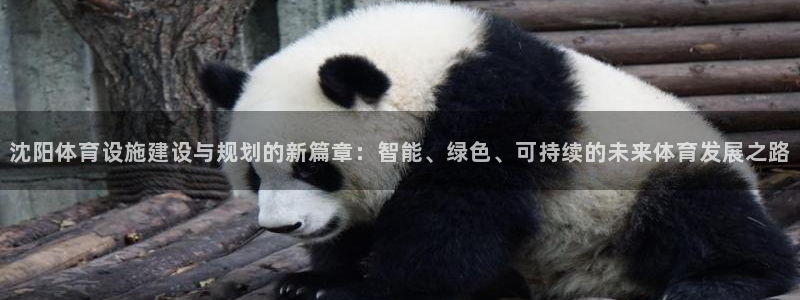 意昂体育4注册：沈阳体育设施建设与规划的新篇章：智能