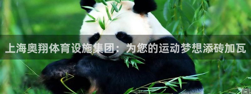 意昂4娱乐网站