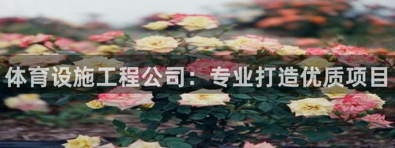 意昂4新能源：体育设施工程公司：专业打造优质项目