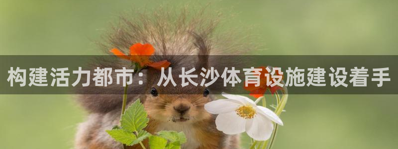 意昂体育4注册：构建活力都市：从长沙体育设施建设着手