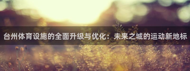 意昂4五金厂：台州体育设施的全面升级与优化：未来之城