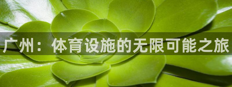 意昂体育4招商电话号码是多少啊：广州：体育设施的无限