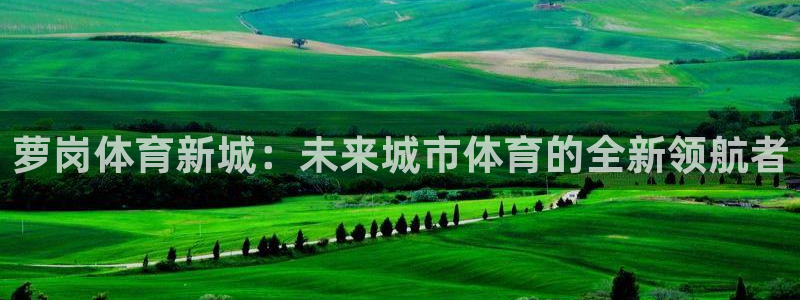 意昂4新能源：萝岗体育新城：未来城市体育的全新领航者