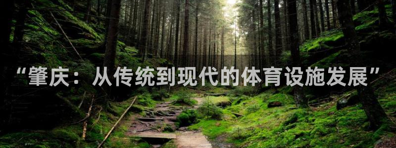 意昂4娱乐是那个系列的台子：“肇庆：从传统到现代的体