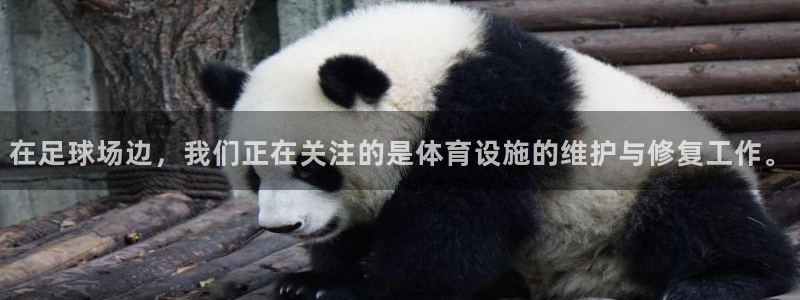 意昂4集团E.ON：在足球场边，我们正在关注的是体育设施的维