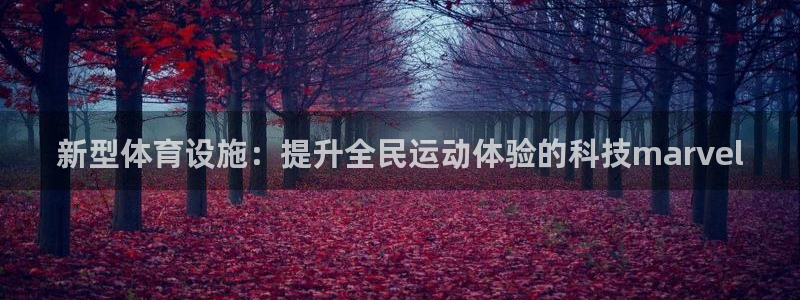 意昂4神州：新型体育设施：提升全民运动体验的科技marvel