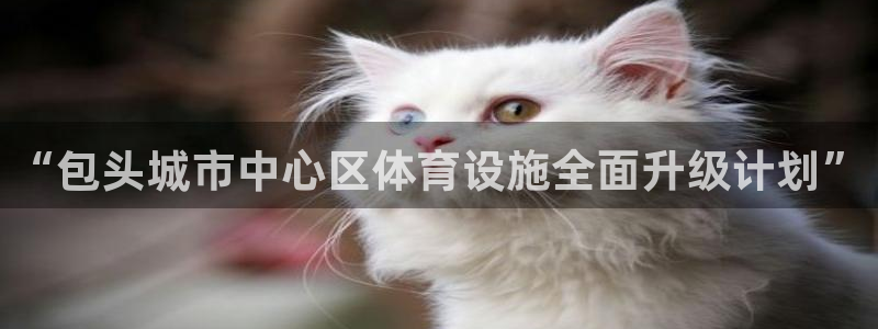 意昂4娱乐：“包头城市中心区体育设施全面升级计划” 