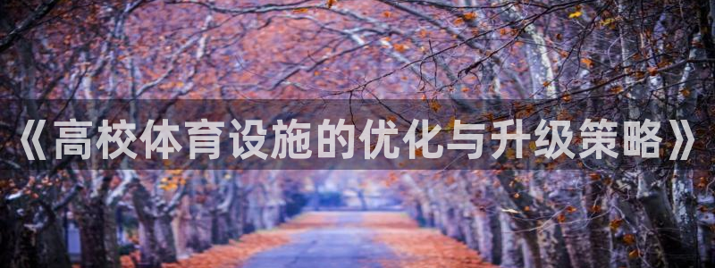 意昂4集团简介：《高校体育设施的优化与升级策略》