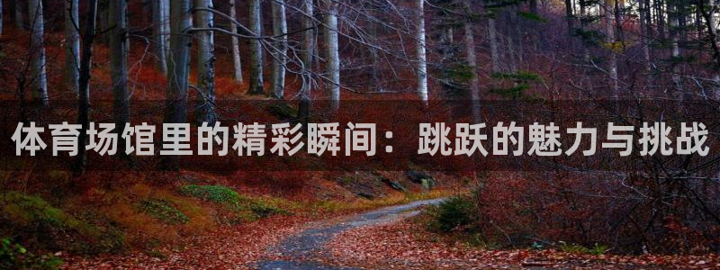意昂体育4注册：体育场馆里的精彩瞬间：跳跃的魅力与挑战