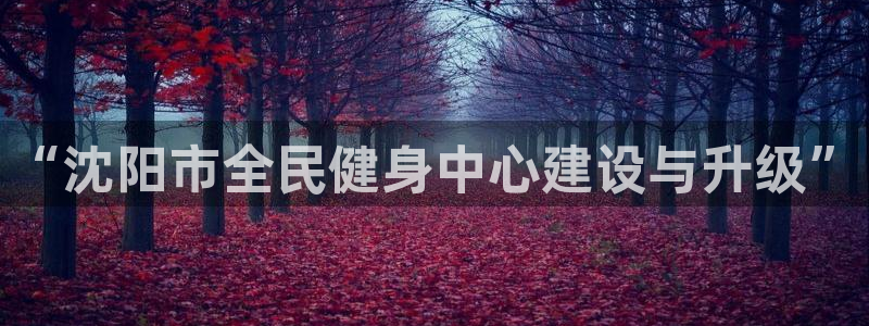 意昂4神州：“沈阳市全民健身中心建设与升级”