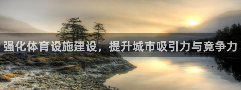 意昂体育4是干嘛的公司：强化体育设施建设，提升城市吸引力与竞