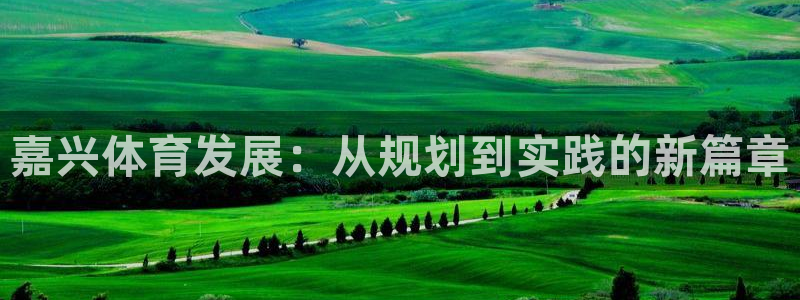 意昂体育4招商电话号码：嘉兴体育发展：从规划到实践的