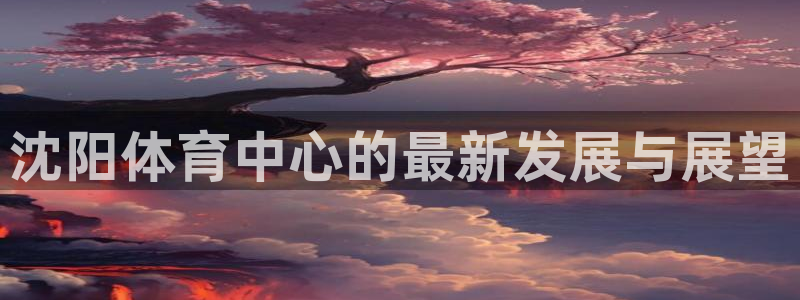 意昂体育4娱乐：沈阳体育中心的最新发展与展望
