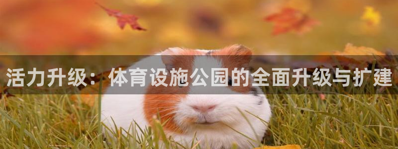 意昂体育4招商电话地址是多少：活力升级：体育设施公园的全面升