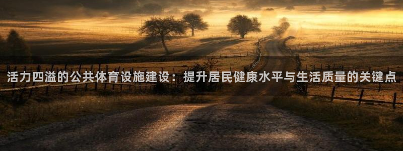 意昂4娱乐是那个系列的台子：活力四溢的公共体育设施建设：提升