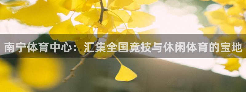 意昂集团官网：南宁体育中心：汇集全国竞技与休闲体育的宝地