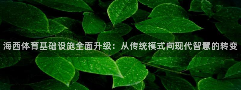 意昂体育4是干嘛的公司：海西体育基础设施全面升级：从传统模式