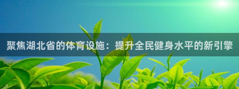 意昂体育4平台注册要钱吗：聚焦湖北省的体育设施：提升全民健身 