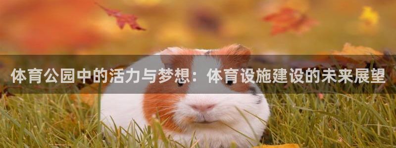 意昂4集团简介：体育公园中的活力与梦想：体育设施建设的未来展