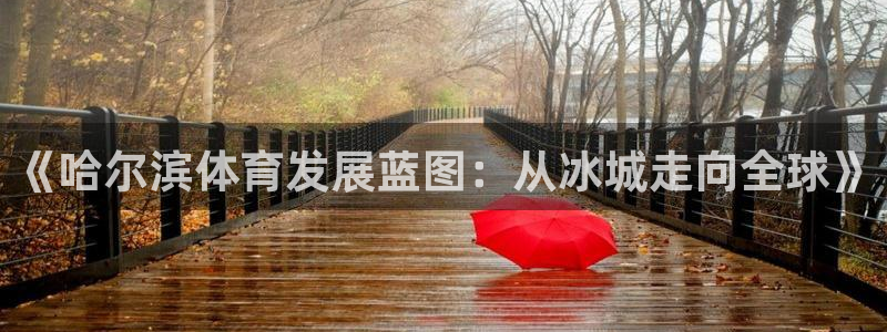 意昂体育4平台是正规平台吗知乎：《哈尔滨体育发展蓝图：从冰城