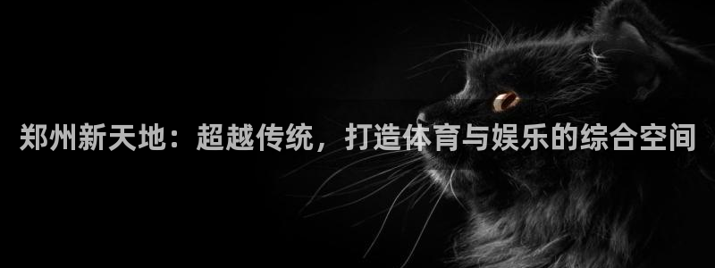 意昂体育4是干嘛的公司：郑州新天地：超越传统，打造体育与娱乐