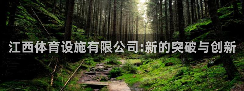 意昂体育4平台是正规平台吗知乎：江西体育设施有限公司:新的突