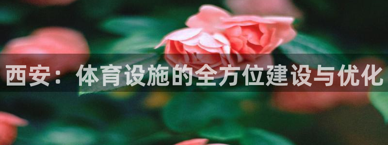 意昂4娱乐：西安：体育设施的全方位建设与优化 