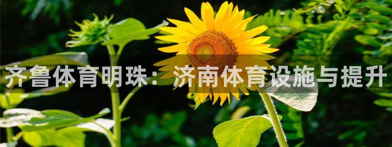 意昂体育4招商：齐鲁体育明珠：济南体育设施与提升