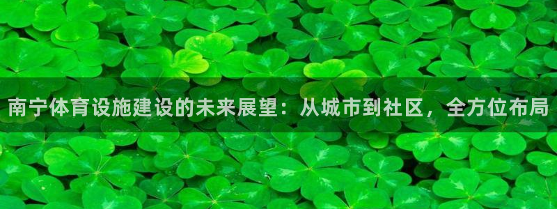 意昂体育4招商电话：南宁体育设施建设的未来展望：从城