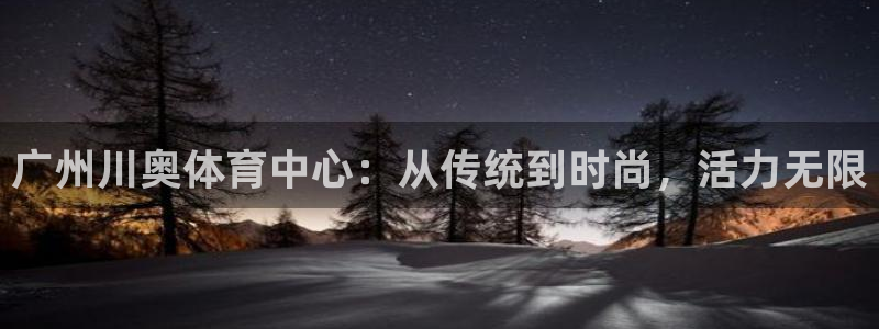 德国意昂4集团：广州川奥体育中心：从传统到时尚，活力