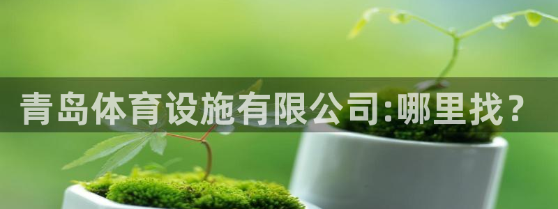 意昂集团官网：青岛体育设施有限公司:哪里找？