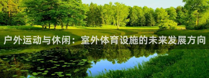 意昂4五金厂：户外运动与休闲：室外体育设施的未来发展