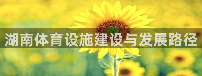 意昂体育4平台是正规平台吗